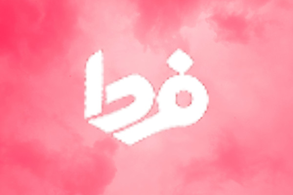 نگاه دولت و وزارت جهاد به بازار برنج واقع‌بینانه است